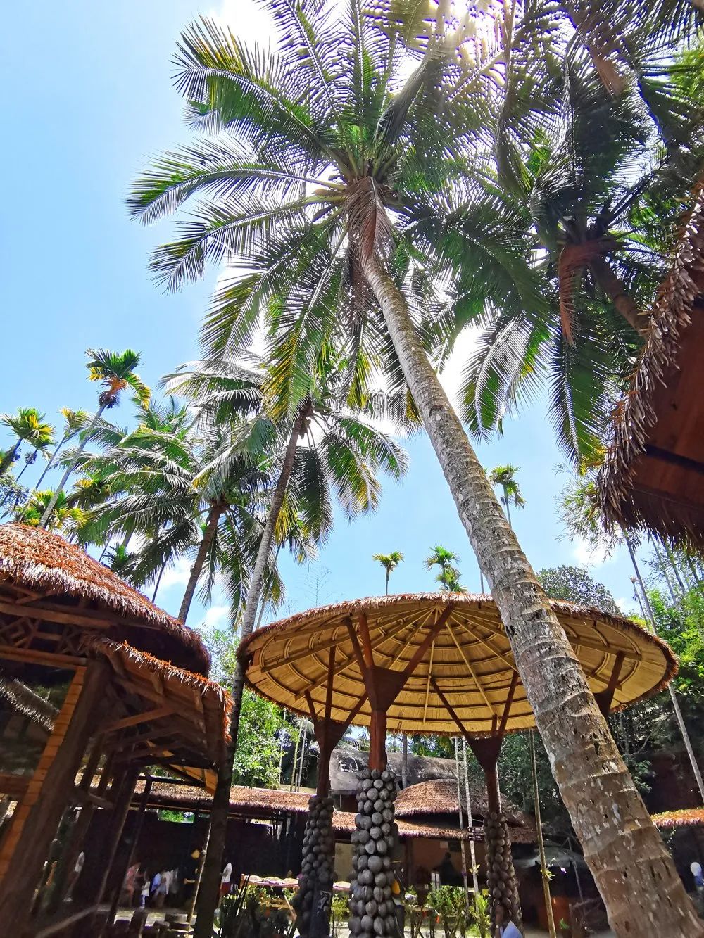 ϲ����pc28��(�й���)�ٷ���վ