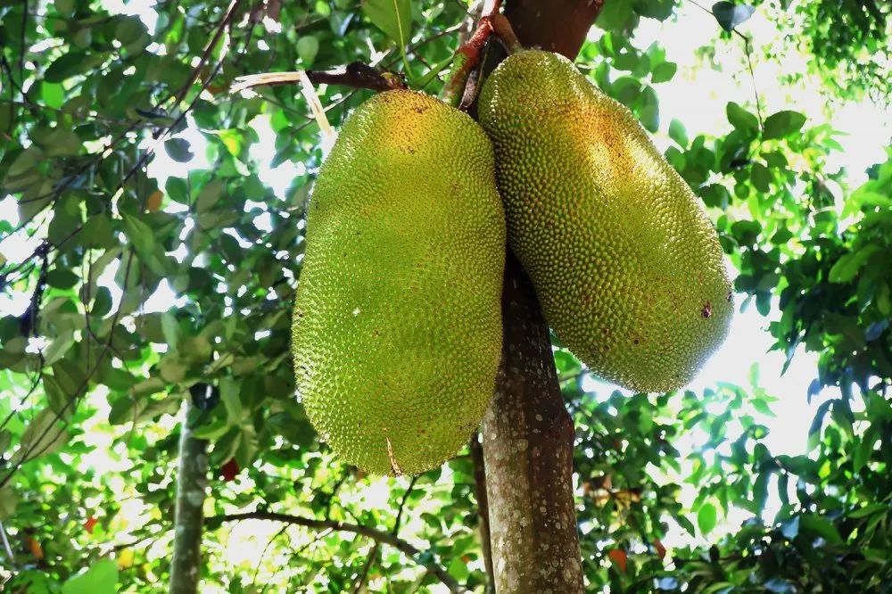 ϲ����pc28��(�й���)�ٷ���վ