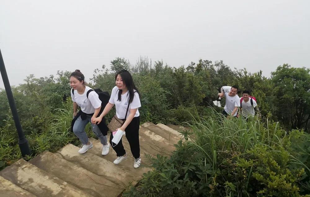 ϲ����pc28��(�й���)�ٷ���վ